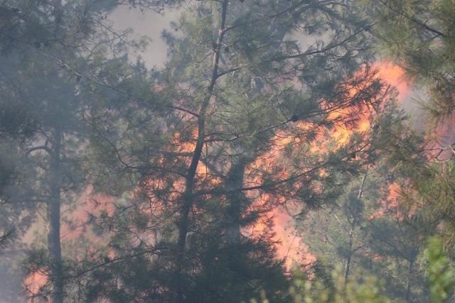 Bodrum'da orman yangını sürüyor! Vali açıklama yaptı: 2024'ün en ciddi yangınlarından biri - Resim : 1