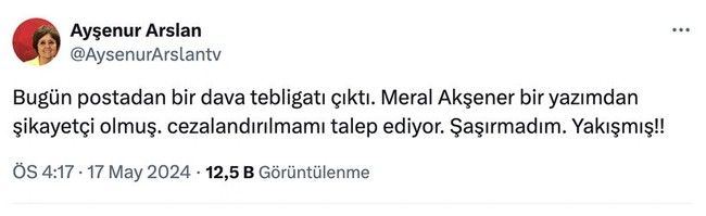 Meral Akşener'den Ayşenur Arslan'a dava - Resim : 1