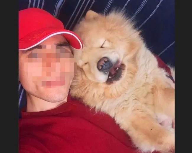 Sarıyer'de ev sahibi dehşeti... Kiracısını çıkarmak için köpeğini öldürdü - Resim : 1